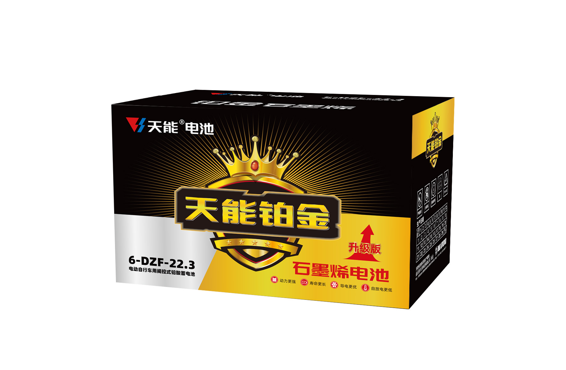 d88尊龙z6铂金电池