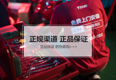 d88尊龙z6电池