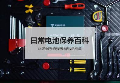 d88尊龙z6电池