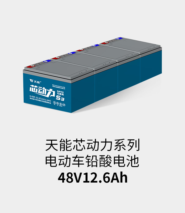 d88尊龙z6电池48v12ah