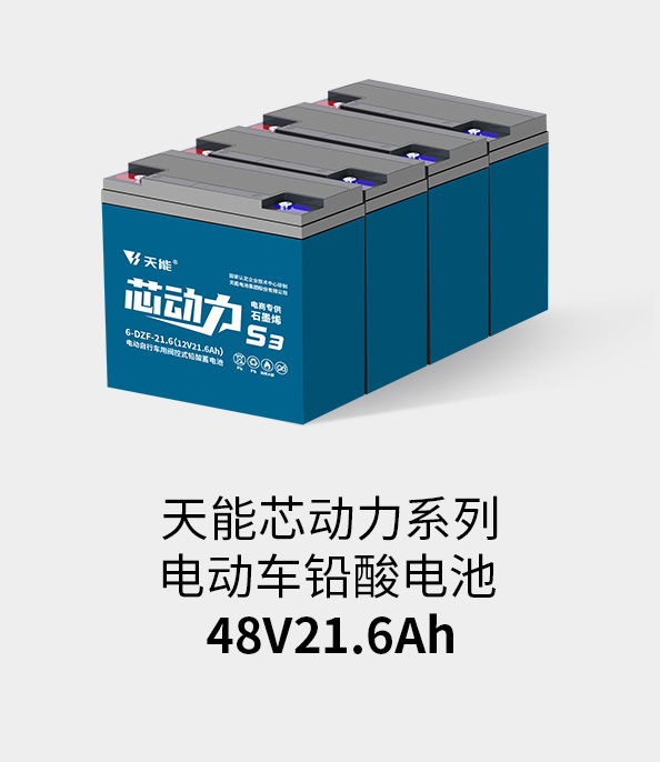d88尊龙z6电池48v20ah