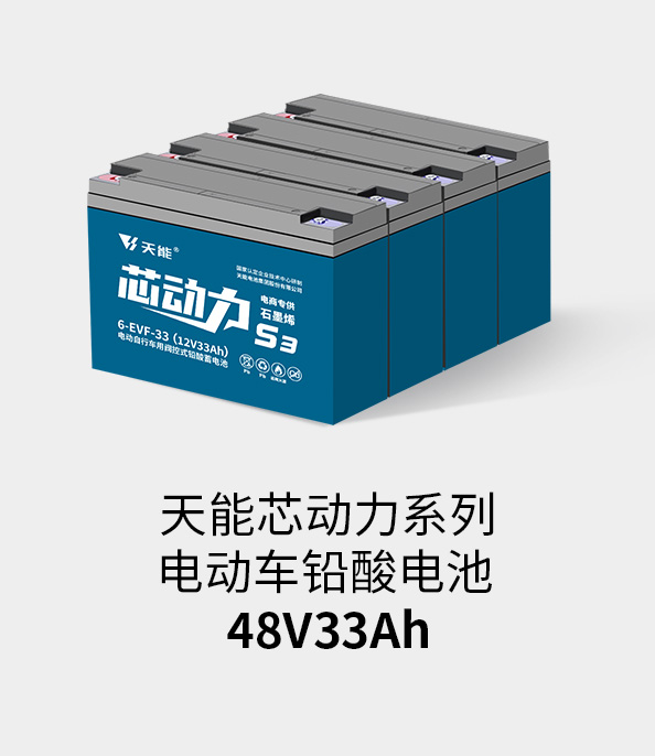 d88尊龙z6电池48v32ah