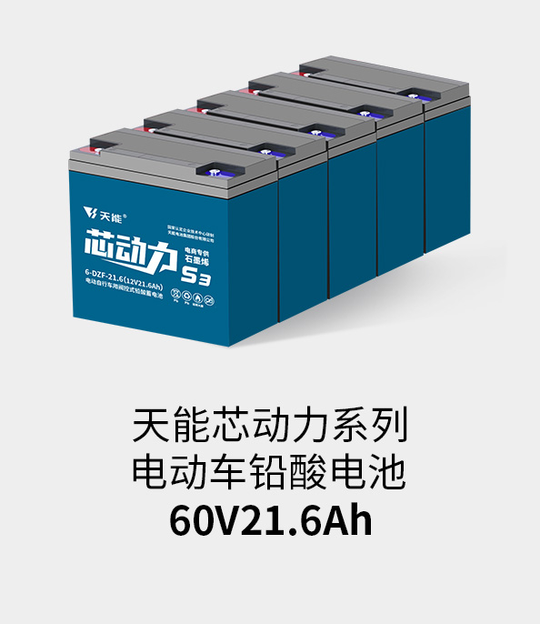 d88尊龙z6电池60v20ah