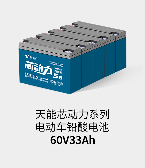 d88尊龙z6电池60v33ah