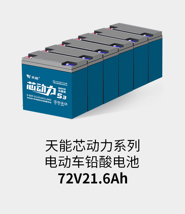 d88尊龙z6电池72v20ah