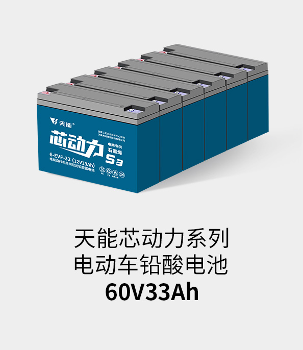 d88尊龙z6电池72v33ah