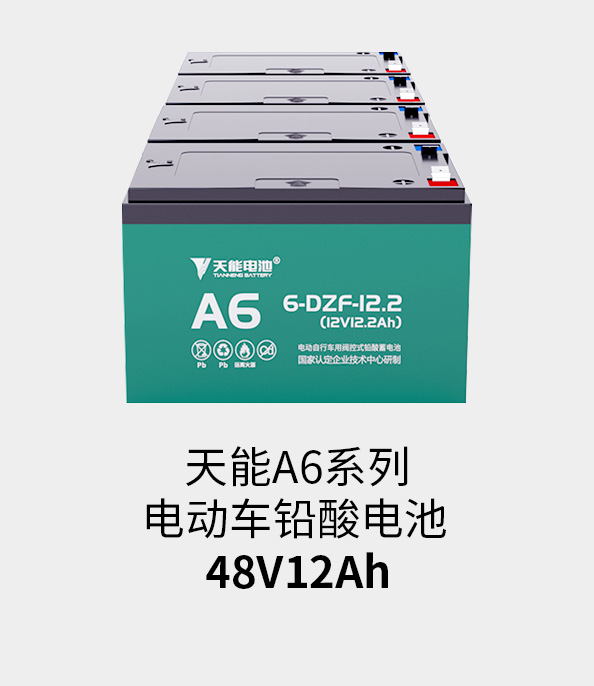 d88尊龙z6电池48v12ah