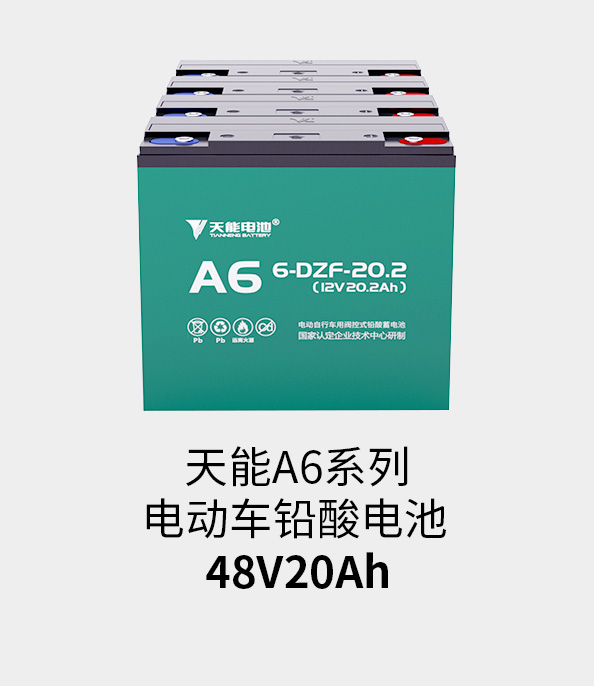 d88尊龙z6电池48v20ah