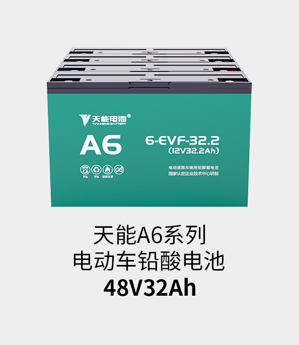 d88尊龙z6电池48v32ah