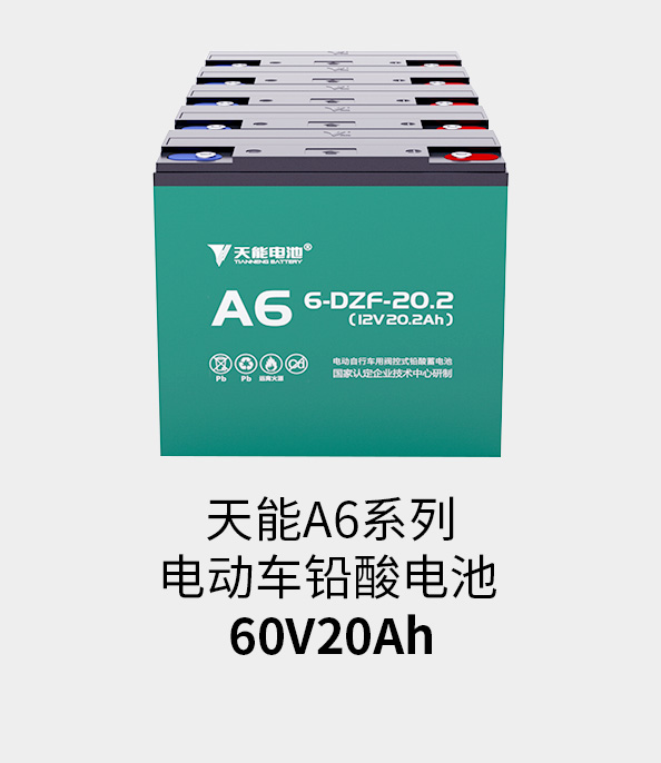 d88尊龙z6电池60v20ah