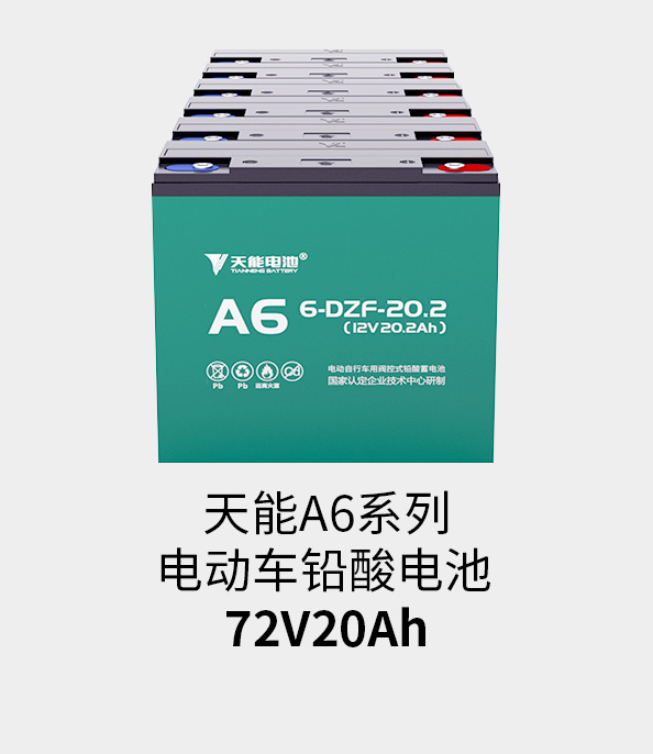 d88尊龙z6电池72v20ah