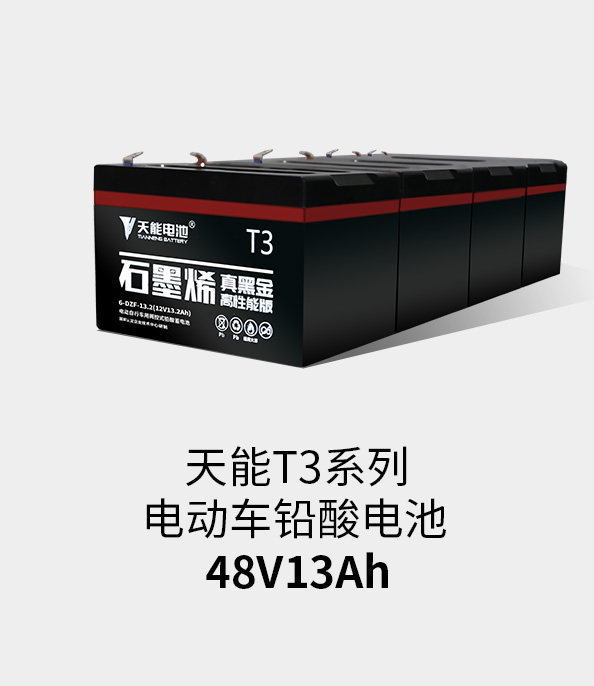 d88尊龙z6T3系列48v13ah