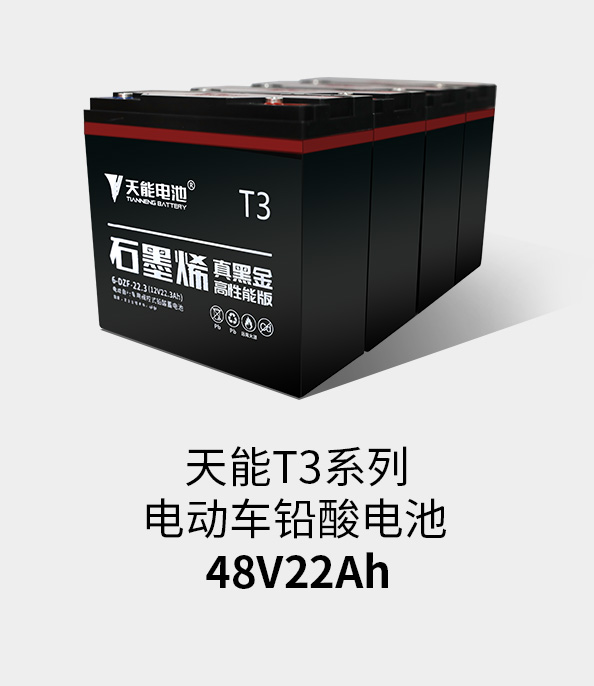 d88尊龙z6T3系列48v22ah