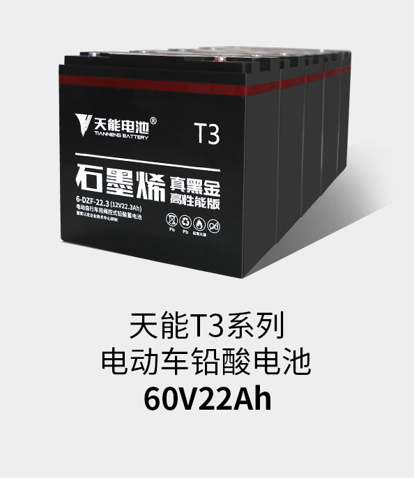 d88尊龙z6T3系列60v22ah