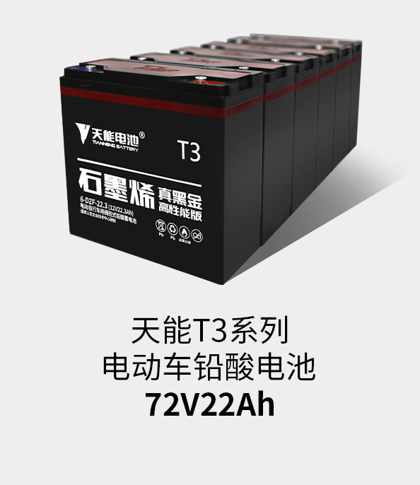d88尊龙z6T3系列72v22ah