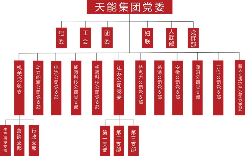 d88尊龙z6建团党委组织架构